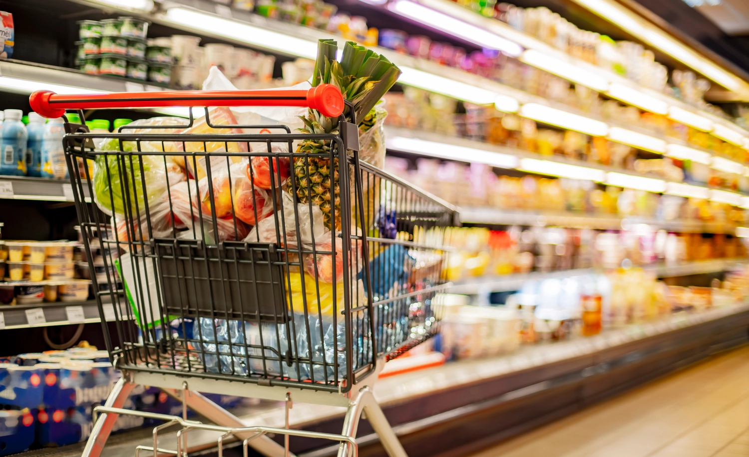 AgoCare UG - Gesundheitsdienstleister - Ein Einkaufswagen mit Lebensmitteln in einem Supermarkt
